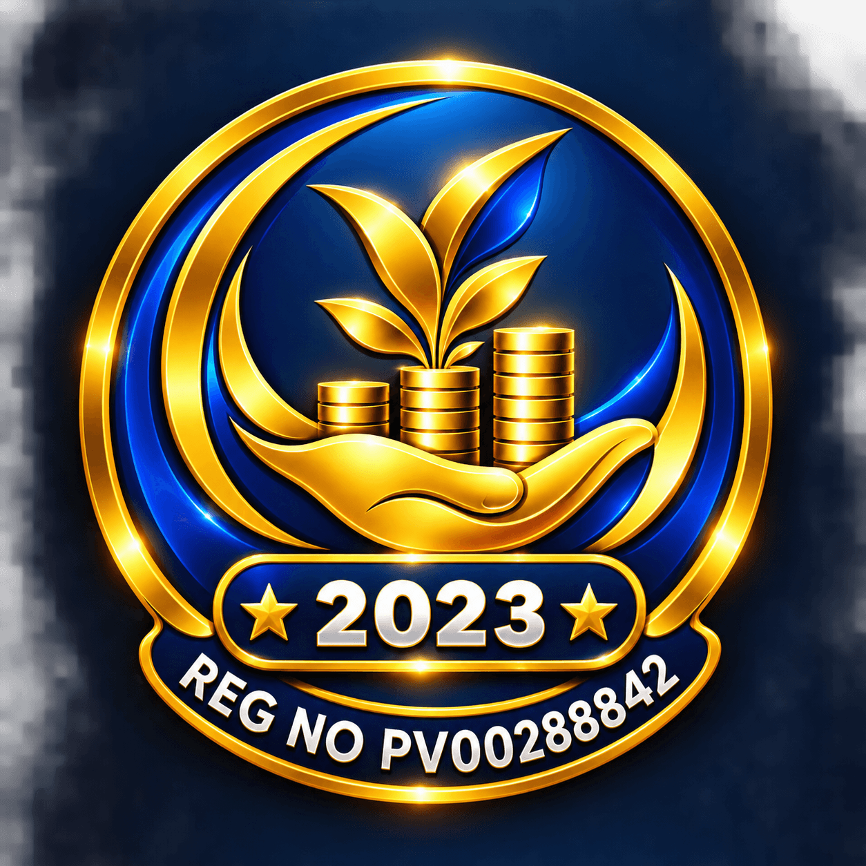 Veesmar Micro Credit logo
